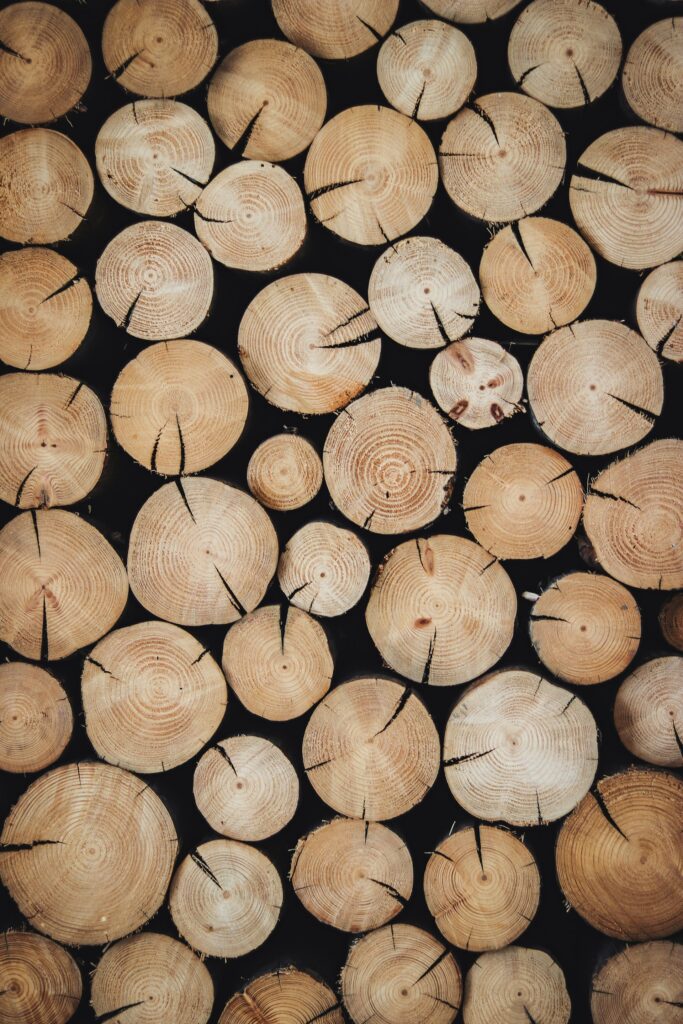 the ends of a log pile to illustrate the subject the next history of downtown corvallis walking tour will cover