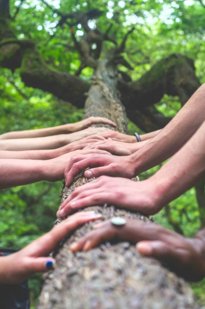 a series of hands on a tree trunk to demonstrate a moment on a team building historic walking tour in Corvallis Oregon