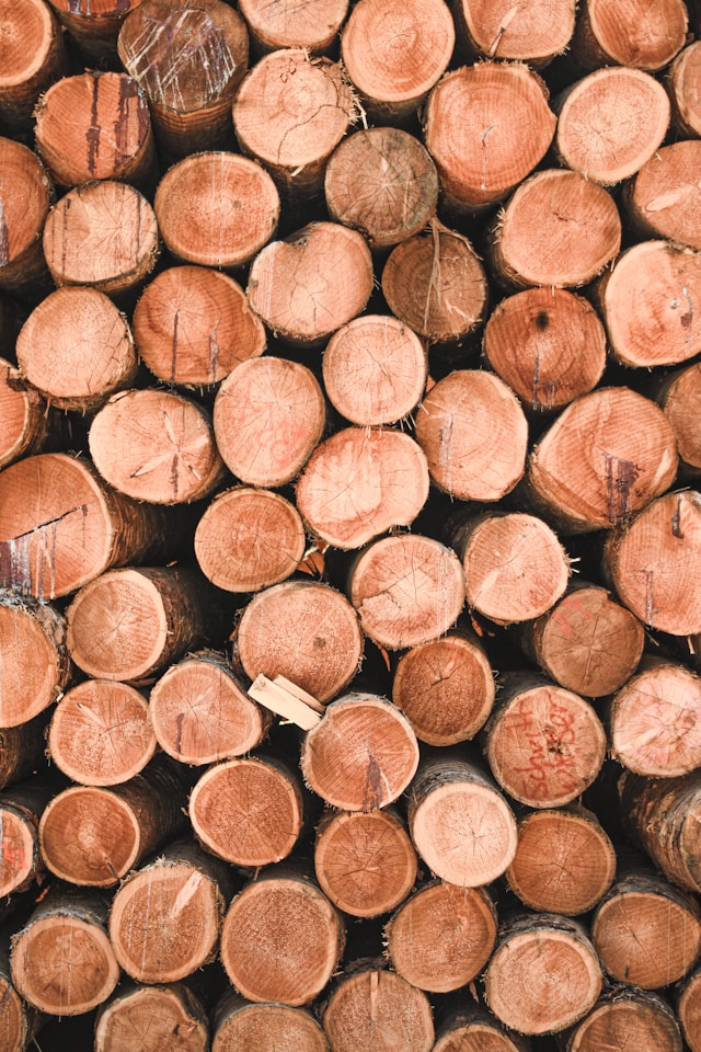 a stack of logs seen from the cut ends to illustrate the timber town corvallis walking tour that people can take when they visit corvallis